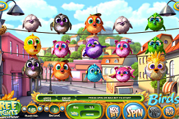 Birds