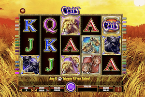 Cats