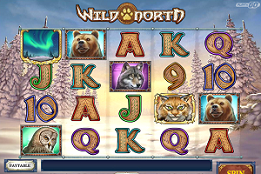 Wild North